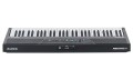 Alesis Recital 61 - keyboard z półważoną klawiaturą